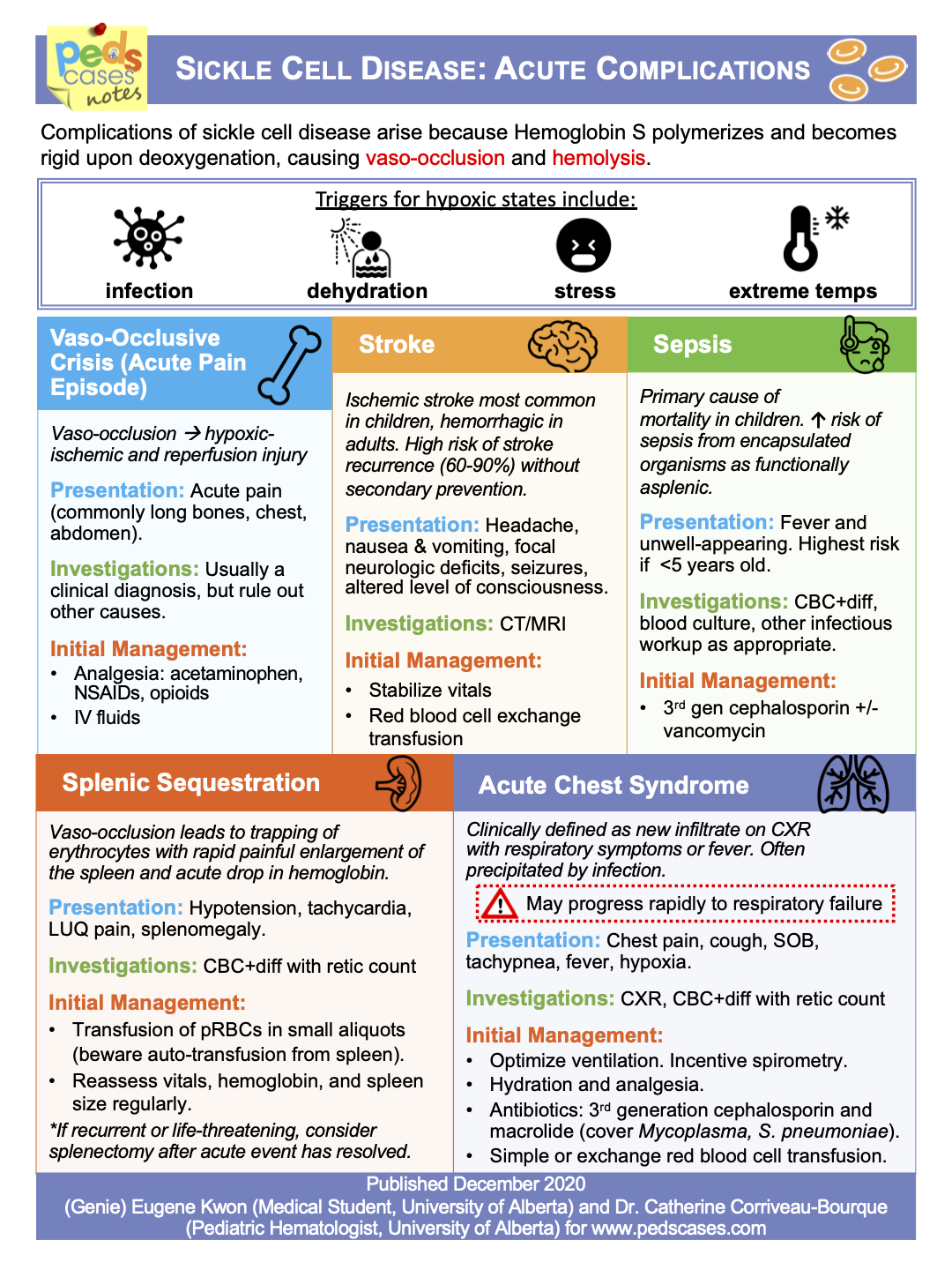 sickle-cell-disease-pdf-captions-viral-today